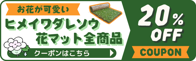 ヒメイワダレソウ花マット