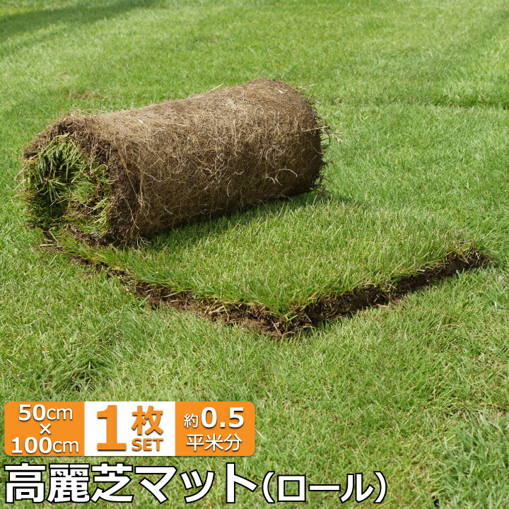 高麗芝2ロール【1平米】（gf1-02-001）