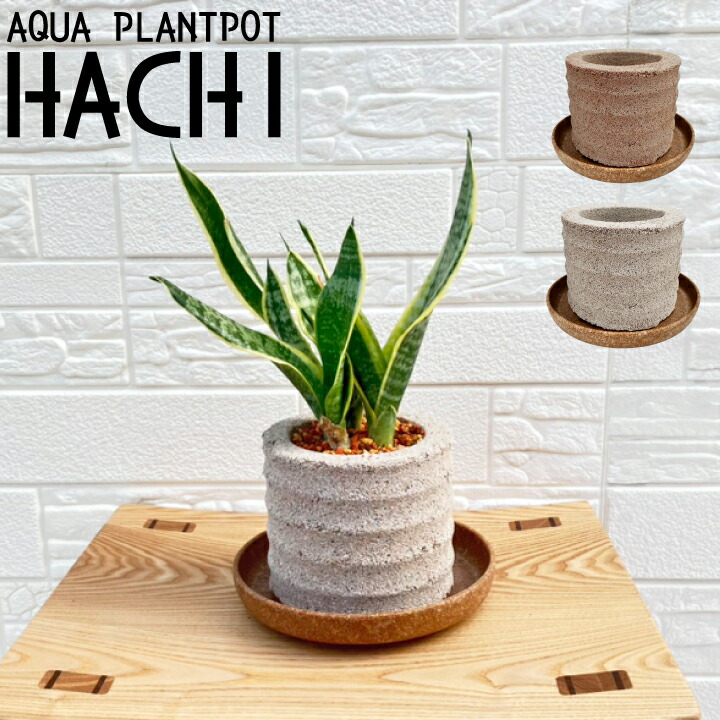 アクアプラントポット 円(gf10-07-403)