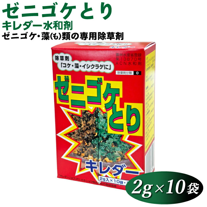 キレダー1箱（gf11-04-021）