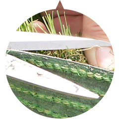 つなぎ目調整カット