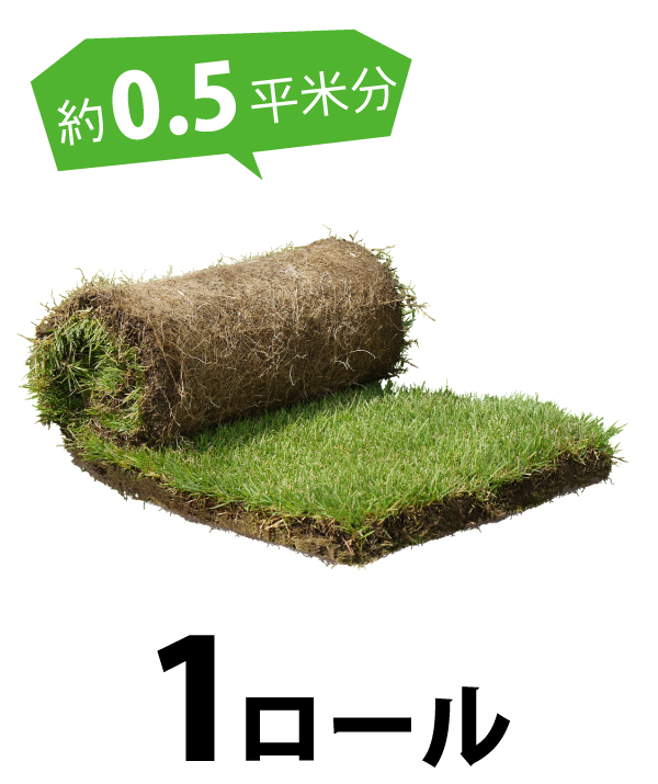 高麗芝 | 国分グリーンファーム公式通販オンラインストア
