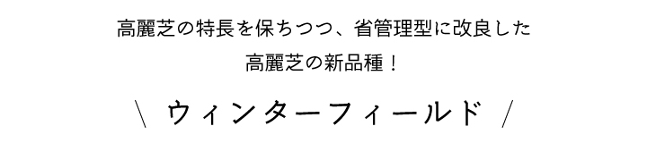 ウィンターフィールド
