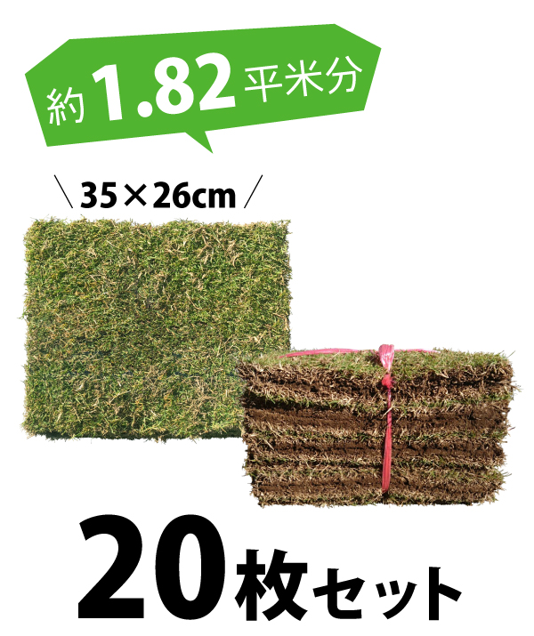 20枚セット