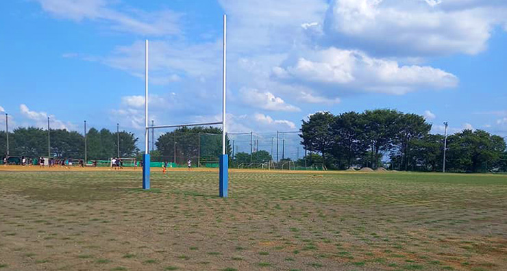 ティフトン芝の概要と由来