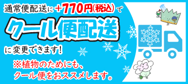 クール便配送