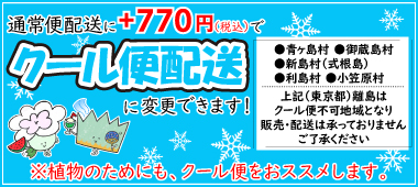 クール便料金