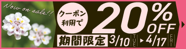 【期間限定】ヒメイワダレソウポット苗　20％OFFクーポン