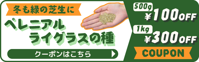 ペレニアルライグラス種100円OFF・300円OFF