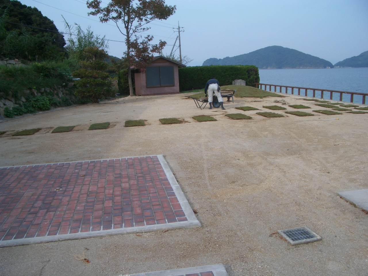イワダレ草花マット 施工例 山口県岩国市某島 13