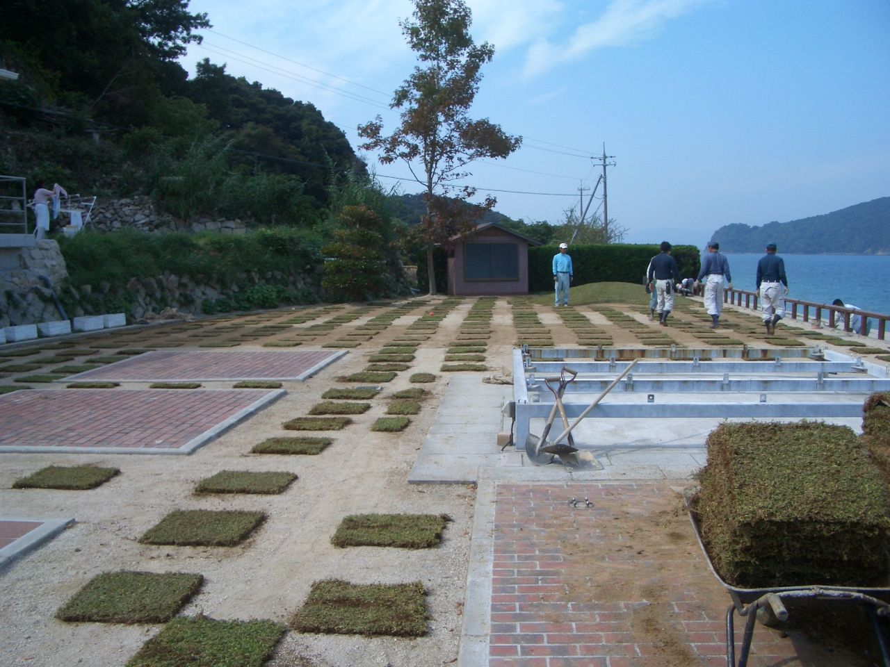 イワダレ草花マット 施工例 山口県岩国市某島 14