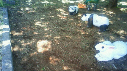 ティフトン419（ロール） 施工例 埼玉県O町 3