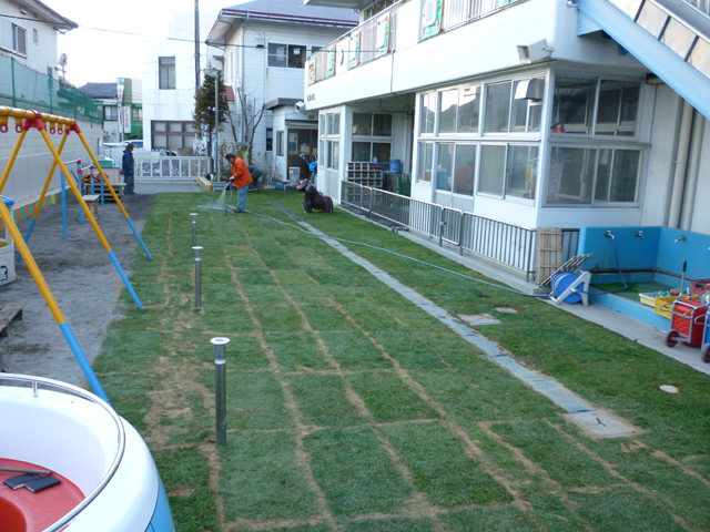 ケンタッキーブルーグラス 施工例 埼玉県H市 5