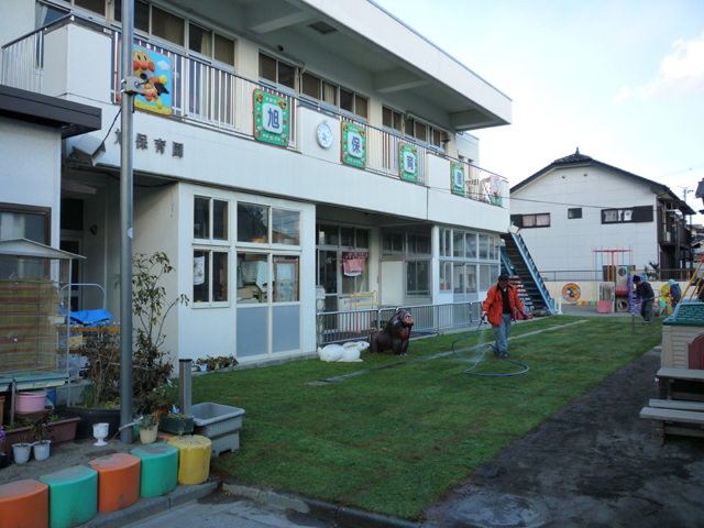 ケンタッキーブルーグラス 施工例 埼玉県H市 6