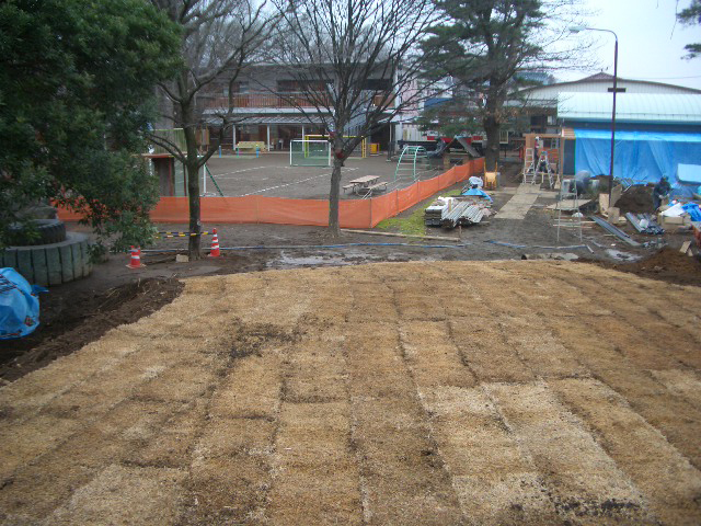 野芝 施工例 埼玉県K市 10