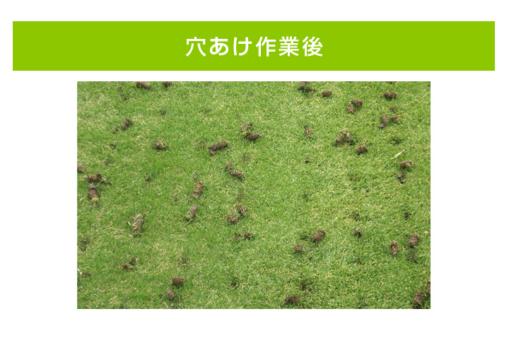 エンジン式エアレーター