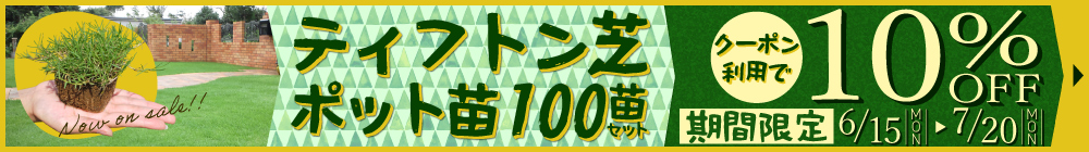 ティフトン