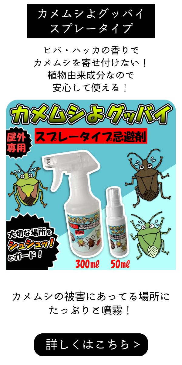カメムシよグッバイスプレータイプ