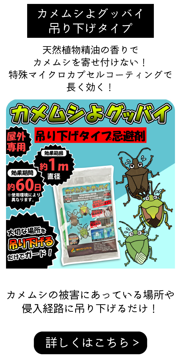 カメムシよグッバイ吊り下げタイプ