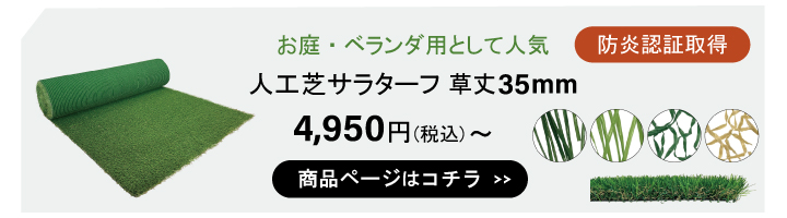 35ｍｍカテゴリTOP