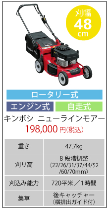 ニューラインモアー