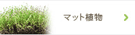 マット植物
