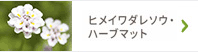 ヒメイワダレソウ･ハーブマット
