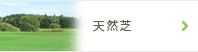 天然芝