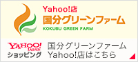 Yahoo!店はこちら