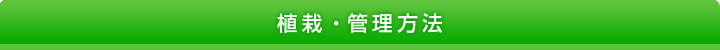 植栽・管理方法