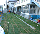 ケンタッキーブルーグラス 施工例 埼玉県H市