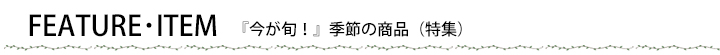 FEATURE ITEM 「今が旬！」季節の商品(特集)