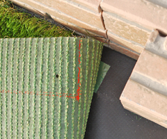 サラターフの場合