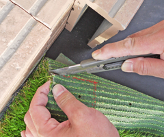 サラターフの場合