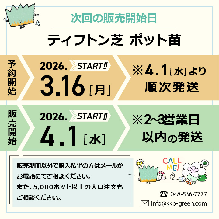 ティフ次回販売予告