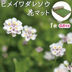 花マット1ロール（gf2-01-001）