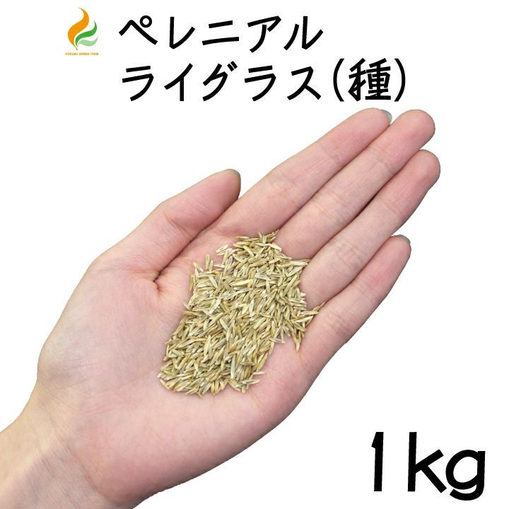 ペレニアルライグラス1kg（gf9-01-001）