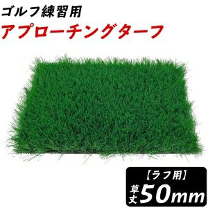 000000000195-01.jpg?size=l&w=