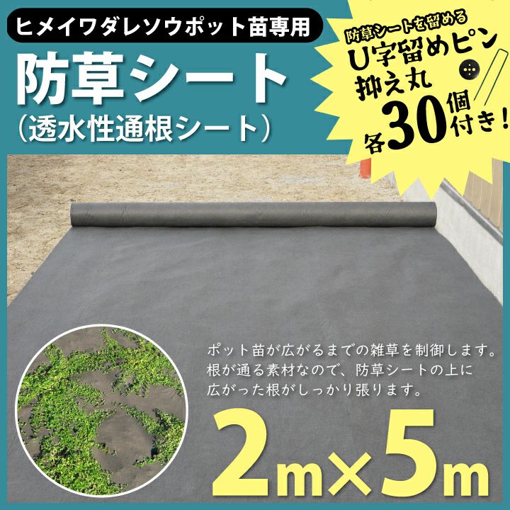 ヒメイワダレソウポット苗専用防草シート【2m×5m】U字留めピン(30本付)