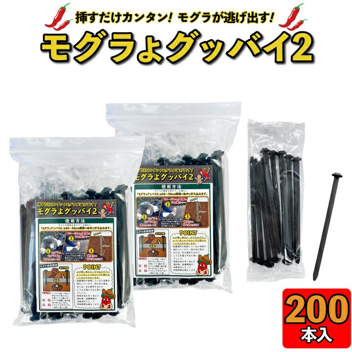 000000000262-01.jpg?size=m&w=