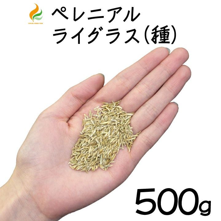 LIGNAGGIO オリーブグリーン レッキスラビット　バラクラバ　極暖　美品！ TRC リキッド8R M22 LIQUID8R M22 The Rag Company ザ ラグカンパニー