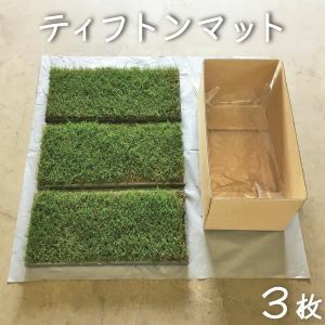 ティフトン マット3枚
