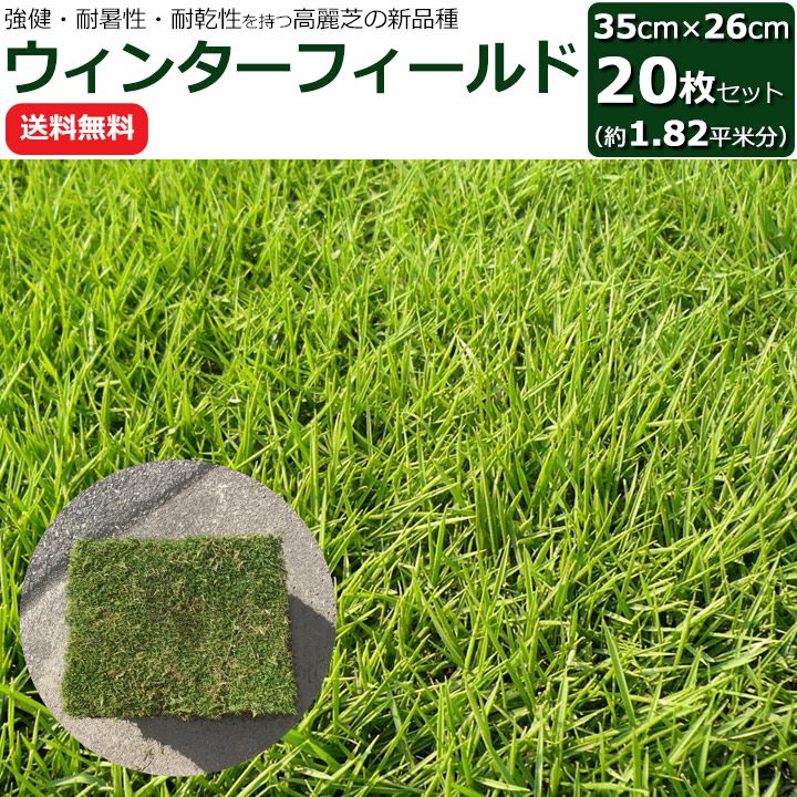 ウインターフィールド（gf1-02-202）