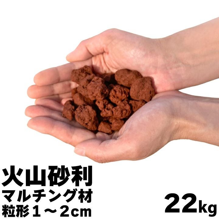 000000000668-01.jpg?size=l&w=